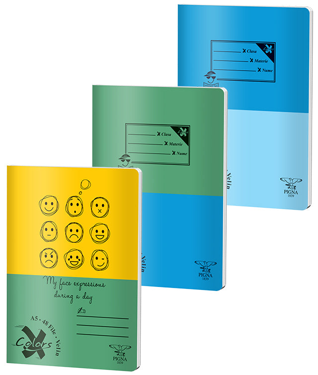 CAIET A5 48 FILE VELIN BASIC PIGNA CAIET A5 48 FILE VELIN BASIC PIGNA